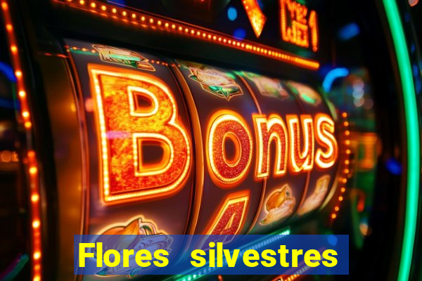 Flores silvestres brasileiras 25